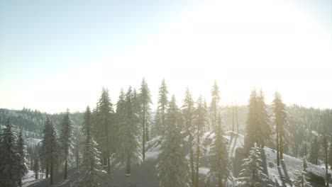 Winterlandschaft,-Die-Morgens-Im-Sonnenlicht-Erstrahlt